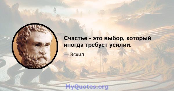 Счастье - это выбор, который иногда требует усилий.