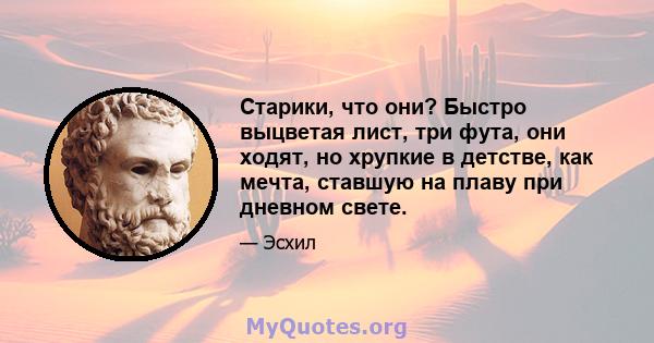 Старики, что они? Быстро выцветая лист, три фута, они ходят, но хрупкие в детстве, как мечта, ставшую на плаву при дневном свете.