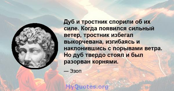 Дуб и тростник спорили об их силе. Когда появился сильный ветер, тростник избегал выкорчевана, изгибаясь и наклонившись с порывами ветра. Но дуб твердо стоял и был разорван корнями.