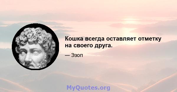 Кошка всегда оставляет отметку на своего друга.