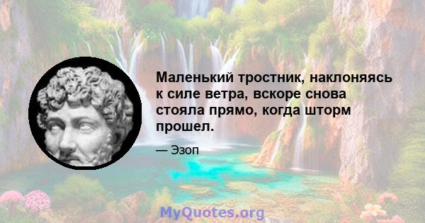 Маленький тростник, наклоняясь к силе ветра, вскоре снова стояла прямо, когда шторм прошел.