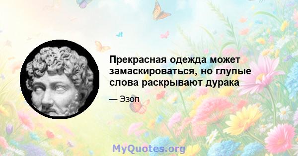 Прекрасная одежда может замаскироваться, но глупые слова раскрывают дурака