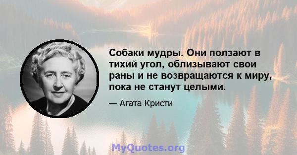 Собаки мудры. Они ползают в тихий угол, облизывают свои раны и не возвращаются к миру, пока не станут целыми.