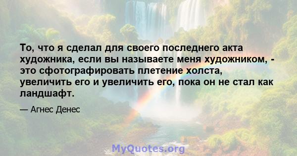 То, что я сделал для своего последнего акта художника, если вы называете меня художником, - это сфотографировать плетение холста, увеличить его и увеличить его, пока он не стал как ландшафт.