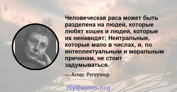 Человеческая раса может быть разделена на людей, которые любят кошек и людей, которые их ненавидят; Нейтральные, которые мало в числах, и, по интеллектуальным и моральным причинам, не стоит задумываться.