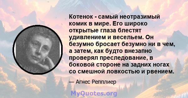 Котенок - самый неотразимый комик в мире. Его широко открытые глаза блестят удивлением и весельем. Он безумно бросает безумно ни в чем, а затем, как будто внезапно проверял преследование, в боковой стороне на задних