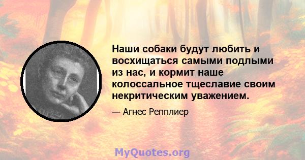 Наши собаки будут любить и восхищаться самыми подлыми из нас, и кормит наше колоссальное тщеславие своим некритическим уважением.