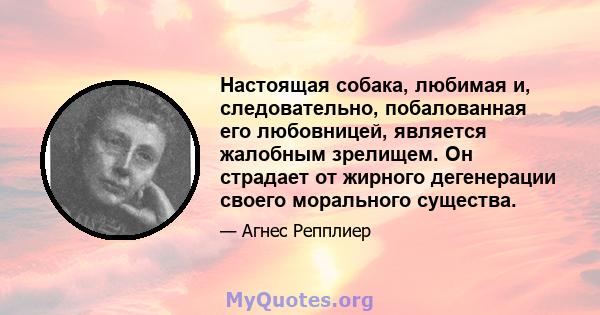 Настоящая собака, любимая и, следовательно, побалованная его любовницей, является жалобным зрелищем. Он страдает от жирного дегенерации своего морального существа.