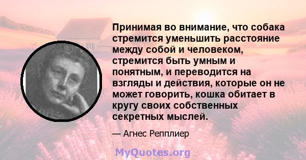 Принимая во внимание, что собака стремится уменьшить расстояние между собой и человеком, стремится быть умным и понятным, и переводится на взгляды и действия, которые он не может говорить, кошка обитает в кругу своих