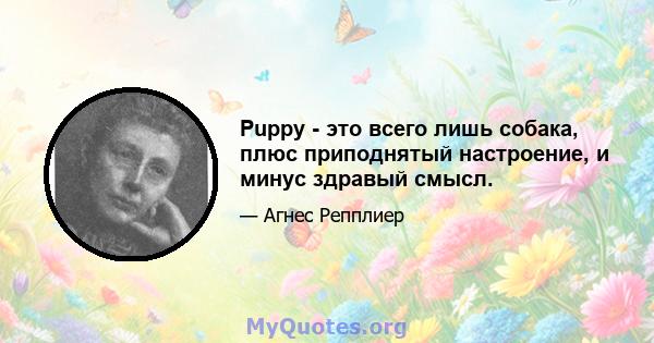 Puppy - это всего лишь собака, плюс приподнятый настроение, и минус здравый смысл.