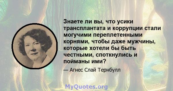 Знаете ли вы, что усики трансплантата и коррупции стали могучими переплетенными корнями, чтобы даже мужчины, которые хотели бы быть честными, споткнулись и пойманы ими?