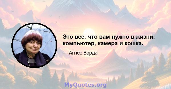 Это все, что вам нужно в жизни: компьютер, камера и кошка.