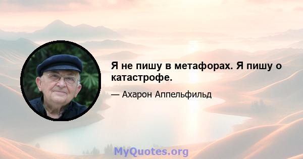 Я не пишу в метафорах. Я пишу о катастрофе.