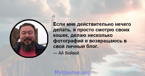 Если мне действительно нечего делать, я просто смотрю своих кошек, делаю несколько фотографий и возвращаюсь в свой личный блог.