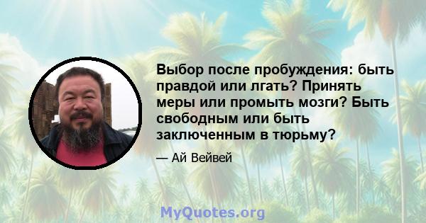 Выбор после пробуждения: быть правдой или лгать? Принять меры или промыть мозги? Быть свободным или быть заключенным в тюрьму?