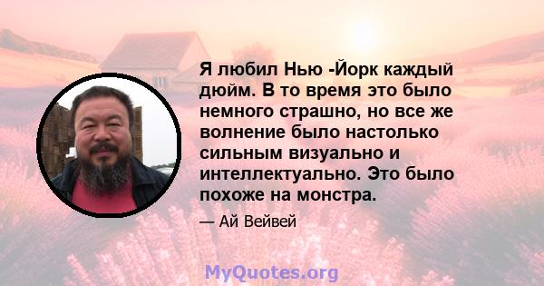 Я любил Нью -Йорк каждый дюйм. В то время это было немного страшно, но все же волнение было настолько сильным визуально и интеллектуально. Это было похоже на монстра.