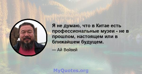 Я не думаю, что в Китае есть профессиональные музеи - не в прошлом, настоящем или в ближайшем будущем.