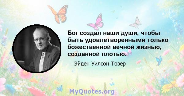 Бог создал наши души, чтобы быть удовлетворенными только божественной вечной жизнью, созданной плотью.