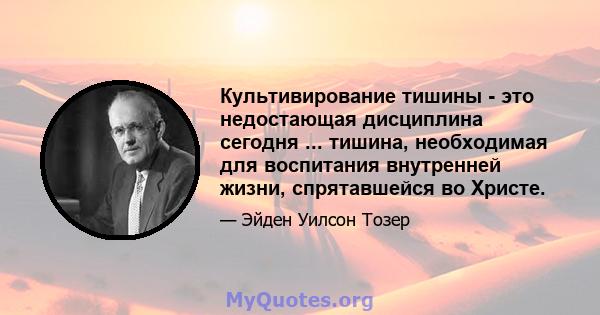 Культивирование тишины - это недостающая дисциплина сегодня ... тишина, необходимая для воспитания внутренней жизни, спрятавшейся во Христе.