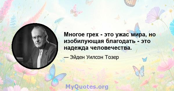 Многое грех - это ужас мира, но изобилующая благодать - это надежда человечества.