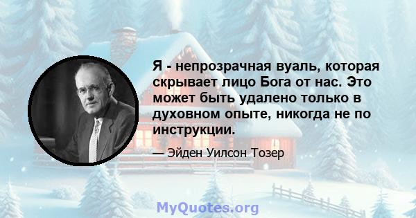 Я - непрозрачная вуаль, которая скрывает лицо Бога от нас. Это может быть удалено только в духовном опыте, никогда не по инструкции.