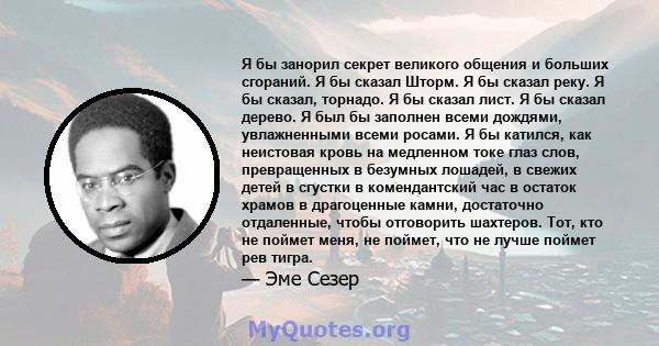 Я бы занорил секрет великого общения и больших сгораний. Я бы сказал Шторм. Я бы сказал реку. Я бы сказал, торнадо. Я бы сказал лист. Я бы сказал дерево. Я был бы заполнен всеми дождями, увлажненными всеми росами. Я бы