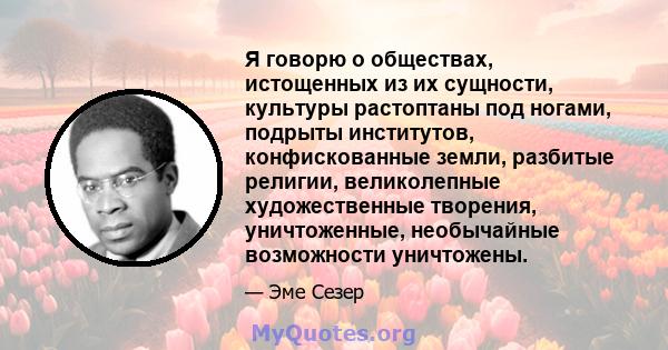 Я говорю о обществах, истощенных из их сущности, культуры растоптаны под ногами, подрыты институтов, конфискованные земли, разбитые религии, великолепные художественные творения, уничтоженные, необычайные возможности