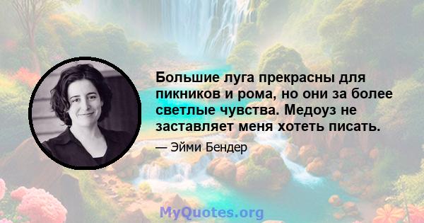 Большие луга прекрасны для пикников и рома, но они за более светлые чувства. Медоуз не заставляет меня хотеть писать.