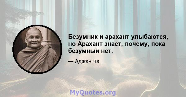 Безумник и арахант улыбаются, но Арахант знает, почему, пока безумный нет.