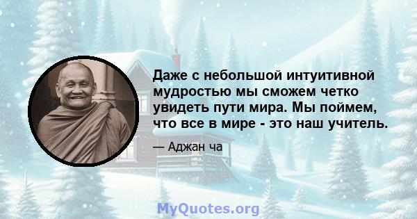 Даже с небольшой интуитивной мудростью мы сможем четко увидеть пути мира. Мы поймем, что все в мире - это наш учитель.