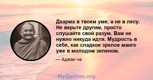 Дхарма в твоем уме, а не в лесу. Не верьте другим, просто слушайте свой разум. Вам не нужно никуда идти. Мудрость в себе, как сладкое зрелое манго уже в молодом зеленом.