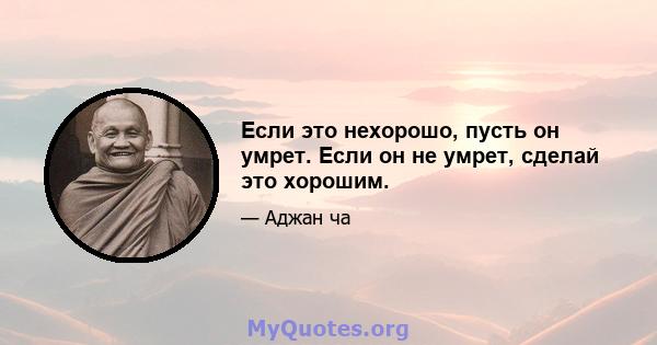 Если это нехорошо, пусть он умрет. Если он не умрет, сделай это хорошим.