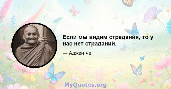 Если мы видим страдания, то у нас нет страданий.