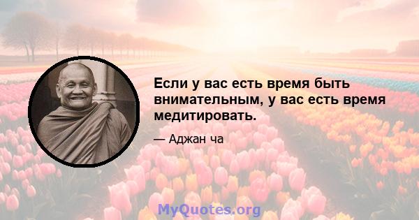 Если у вас есть время быть внимательным, у вас есть время медитировать.