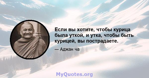 Если вы хотите, чтобы курица была уткой, и утка, чтобы быть курицей, вы пострадаете.