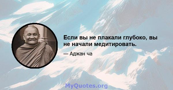 Если вы не плакали глубоко, вы не начали медитировать.