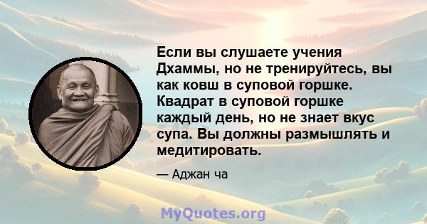 Если вы слушаете учения Дхаммы, но не тренируйтесь, вы как ковш в суповой горшке. Квадрат в суповой горшке каждый день, но не знает вкус супа. Вы должны размышлять и медитировать.