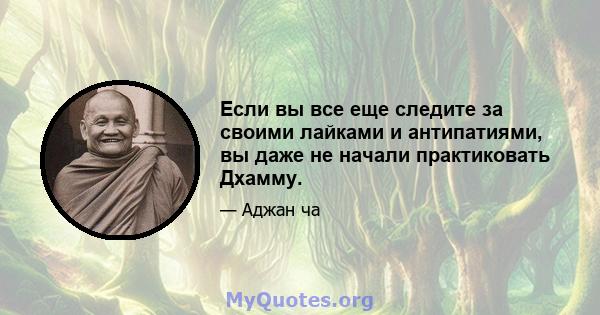 Если вы все еще следите за своими лайками и антипатиями, вы даже не начали практиковать Дхамму.