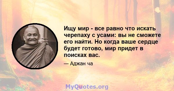 Ищу мир - все равно что искать черепаху с усами: вы не сможете его найти. Но когда ваше сердце будет готово, мир придет в поисках вас.