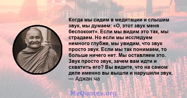 Когда мы сидим в медитации и слышим звук, мы думаем: «О, этот звук меня беспокоит». Если мы видим это так, мы страдаем. Но если мы исследуем немного глубже, мы увидим, что звук просто звук. Если мы так понимаем, то