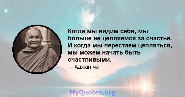 Когда мы видим себя, мы больше не цепляемся за счастье. И когда мы перестаем цепляться, мы можем начать быть счастливыми.