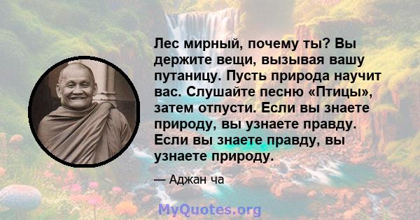 Лес мирный, почему ты? Вы держите вещи, вызывая вашу путаницу. Пусть природа научит вас. Слушайте песню «Птицы», затем отпусти. Если вы знаете природу, вы узнаете правду. Если вы знаете правду, вы узнаете природу.