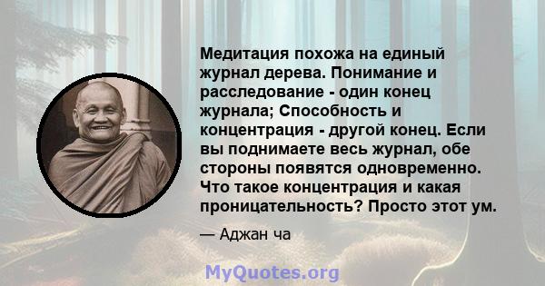 Медитация похожа на единый журнал дерева. Понимание и расследование - один конец журнала; Способность и концентрация - другой конец. Если вы поднимаете весь журнал, обе стороны появятся одновременно. Что такое