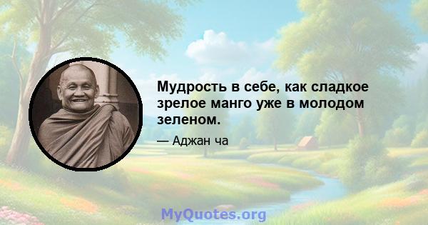 Мудрость в себе, как сладкое зрелое манго уже в молодом зеленом.