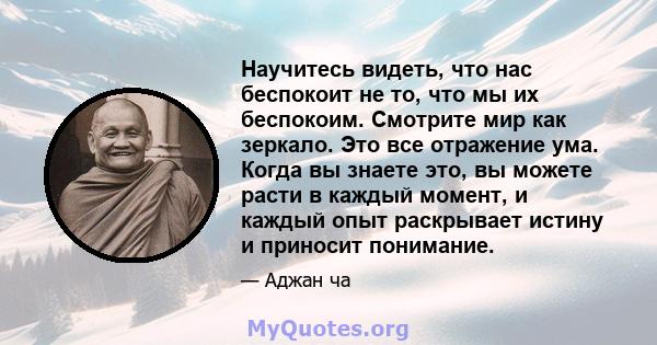 Научитесь видеть, что нас беспокоит не то, что мы их беспокоим. Смотрите мир как зеркало. Это все отражение ума. Когда вы знаете это, вы можете расти в каждый момент, и каждый опыт раскрывает истину и приносит понимание.