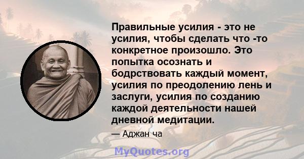 Правильные усилия - это не усилия, чтобы сделать что -то конкретное произошло. Это попытка осознать и бодрствовать каждый момент, усилия по преодолению лень и заслуги, усилия по созданию каждой деятельности нашей