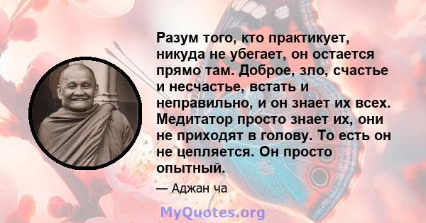 Разум того, кто практикует, никуда не убегает, он остается прямо там. Доброе, зло, счастье и несчастье, встать и неправильно, и он знает их всех. Медитатор просто знает их, они не приходят в голову. То есть он не