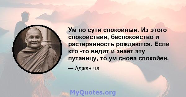 Ум по сути спокойный. Из этого спокойствия, беспокойство и растерянность рождаются. Если кто -то видит и знает эту путаницу, то ум снова спокойен.