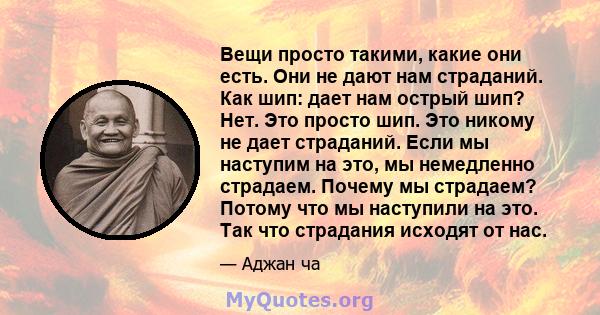 Вещи просто такими, какие они есть. Они не дают нам страданий. Как шип: дает нам острый шип? Нет. Это просто шип. Это никому не дает страданий. Если мы наступим на это, мы немедленно страдаем. Почему мы страдаем? Потому 