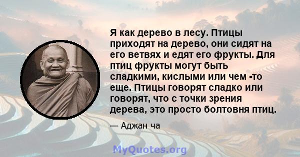 Я как дерево в лесу. Птицы приходят на дерево, они сидят на его ветвях и едят его фрукты. Для птиц фрукты могут быть сладкими, кислыми или чем -то еще. Птицы говорят сладко или говорят, что с точки зрения дерева, это